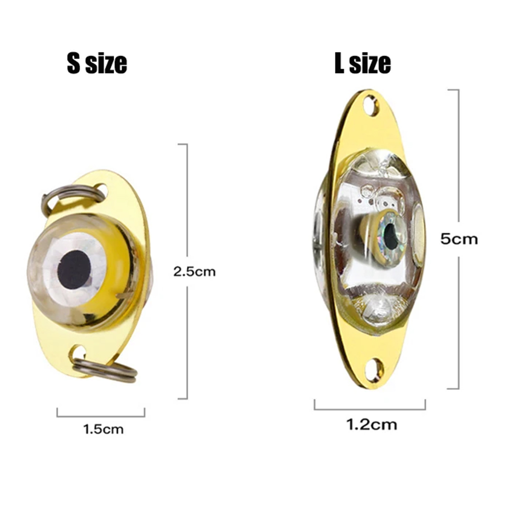 프로 BEROS LED 낚시 딥 드롭 낚시 조명, LE - Fishing Equipment Lures 리뷰 및 가격